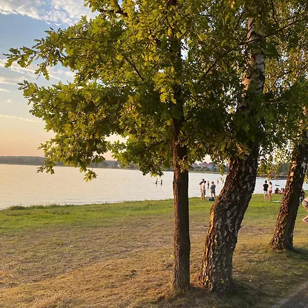 M5 W Centrum Wiela *