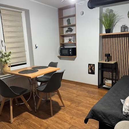 度假居 M5 W Centrum Wiela 维勒