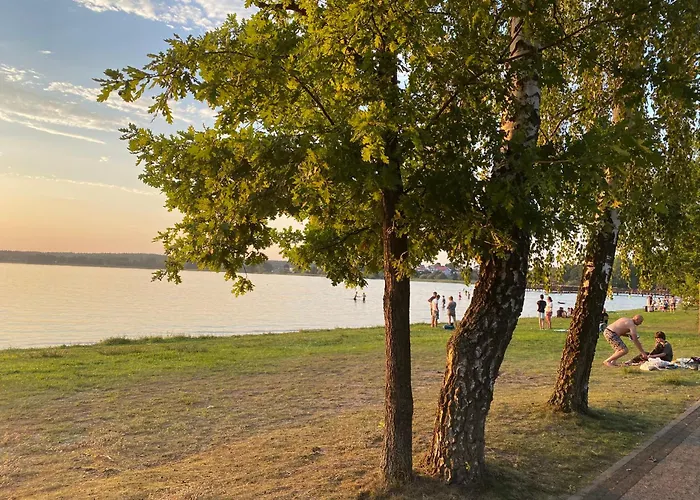 M5 W Centrum Wiela *